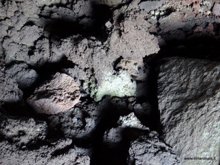 otta Chiovazzi-02-11-2020 12